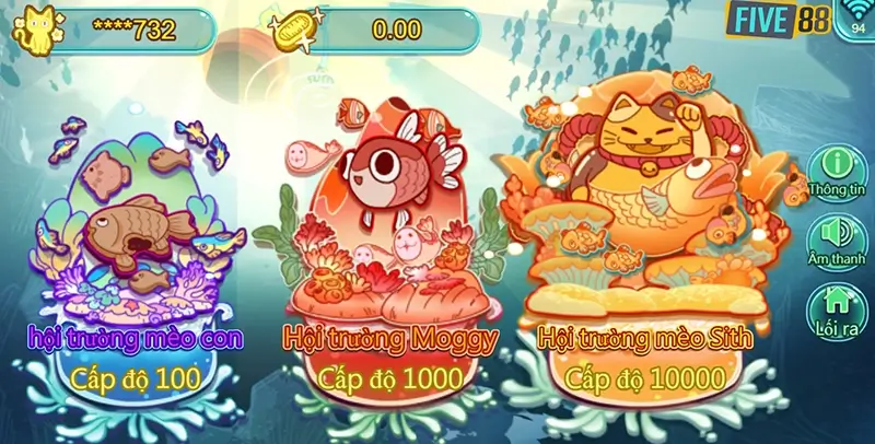 Mèo bắn cá có hình ảnh chân thực, được game thủ ưa thích Mèo bắn cá có hình ảnh chân thực, được game thủ ưa thích